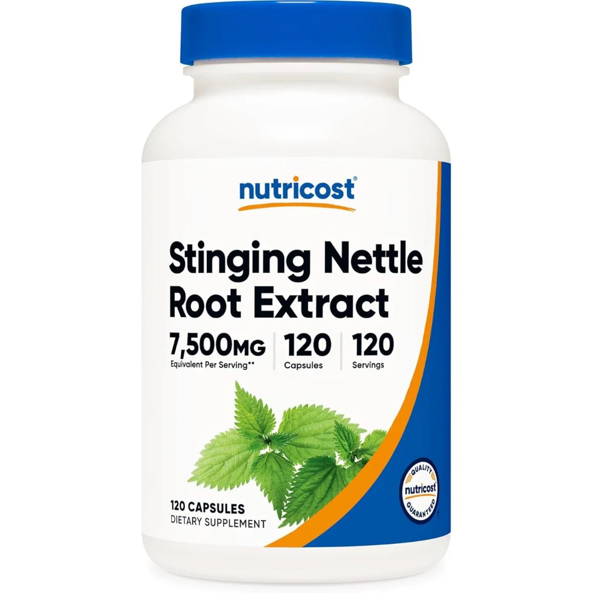 نيوتريكوست (Nutricost) مستخلص جذور نبات القراص، يدعم صحة البروستاتا والمسالك البولية، كبسولات - 120 كبسولة